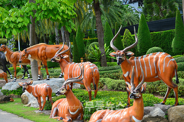 농눅빌리지 관광농원 (사진촬영 / 조경륜)