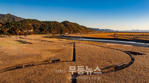 매년 생태관광객이 찾아드는 순천만습지의 풍경.