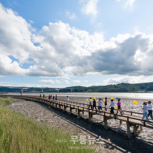 2025 보성벌교 갯뻘축제 성료… 유네스코 세계자연유산서 생태 체험 한마당_참가자들이‘보성벌교갯뻘길 생태걷기대회’를 하고 있다./보성군 제공
