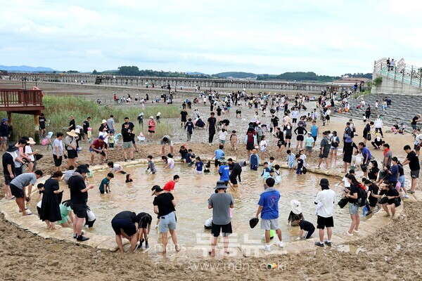 제11회 무안황토갯벌축제에서 진행한 장어잡기 체험/무안군 제공