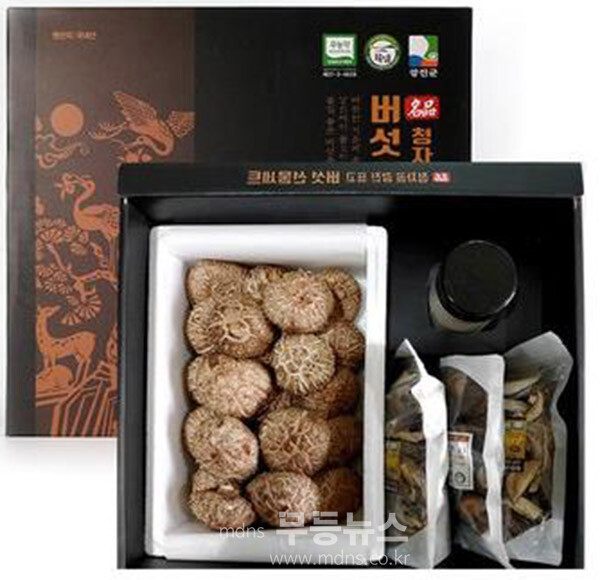 강진 표고 버섯 (강진군 제공)