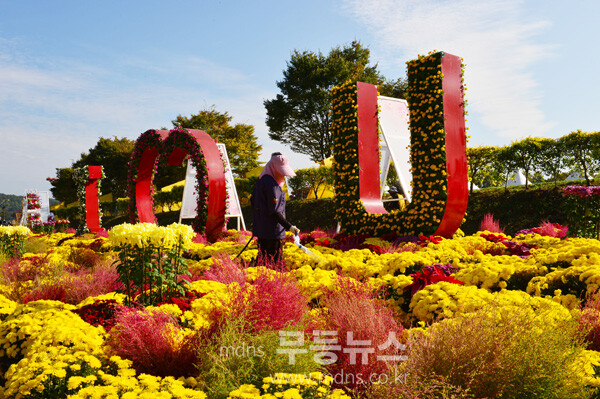 황룡강 가을꽃 축제 (조경륜 /자료사진)