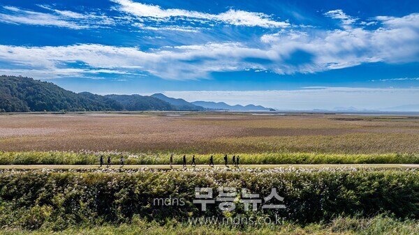 남파랑길을 걷는 사람들.