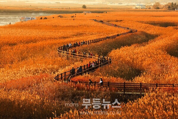 순천만습지