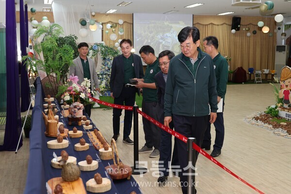 장평면민의날 호도축제
