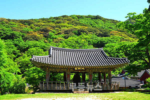 해남 대흥사 (조경륜 / 자료사진)