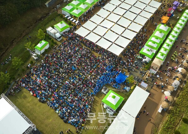 2024 화순 고인돌 가을꽃 축제(DM콘서트)