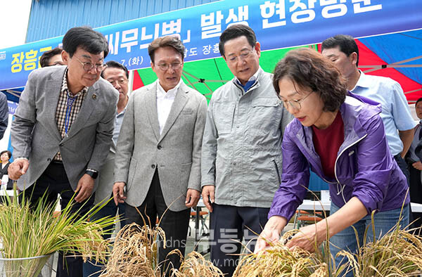 김민석 국무총리와 김영록 전라남도지사가 7일 오후 벼 깨씨무늬병 피해지역 현장인 장흥군 안양면 해창리 일원을 방문, 피해 현황을 살펴보고 있다. (전남도 제공)