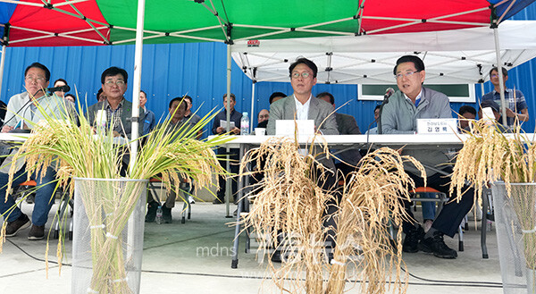 김민석 국무총리와 김영록 전라남도지사가 7일 오후 벼 깨씨무늬병 피해지역 현장인 장흥군 안양면 해창리 일원을 방문, 현황 및 건의사항을 청취하고 있다. (전남도 제공)