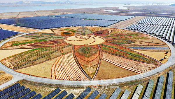 해남 산이 부동지구 재생에너지 집적화단지 민관협의회’발족식 /  솔라시도 기업도시 태양의 정원 (해남군 제공)