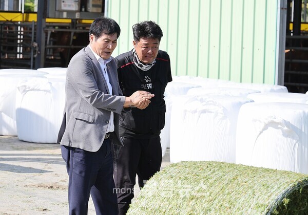 이상익 함평군수, 총체벼 수확 현장점검…생산·유통 기반 강화 나서 /함평군 제공