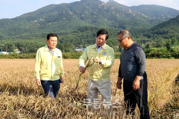 공영민 고흥군수, 벼‘깨씨무늬병’ 피해 현장 점검… 확산 방지 총력 대응/고흥군 제공