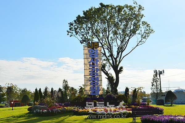 9일 아침 촬영한 영산강 정원 (사진촬영 /사진작가 조경륜}