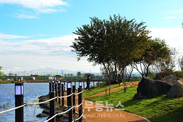 9일 아침 촬영한 영산강 정원 (사진촬영 /사진작가 조경륜}
