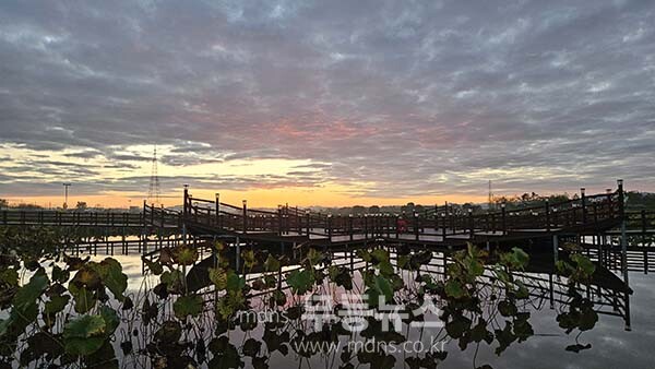9일 아침 촬영한 영산강 정원의 여명  (사진촬영 /사진작가 조경륜}