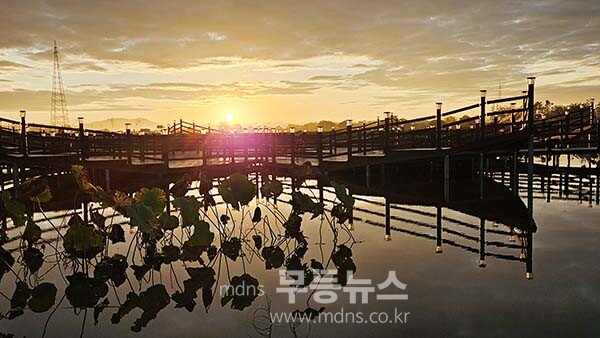 9일 아침 촬영한 영산강 정원의 일출 (사진촬영 /사진작가 조경륜}