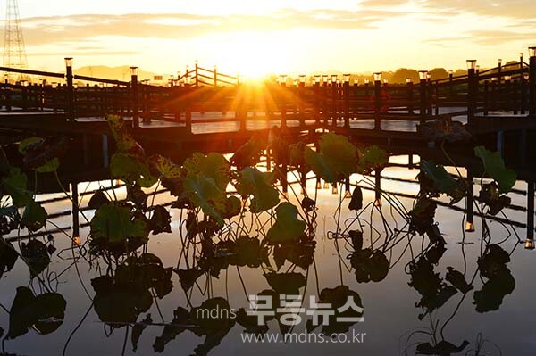 9일 아침 촬영한 영산강 정원의 일출 (사진촬영 /사진작가 조경륜}