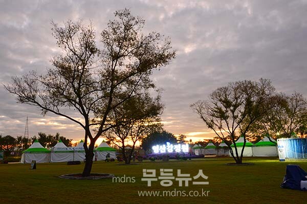 9일 아침 촬영한 영산강 정원 (사진촬영 /사진작가 조경륜}