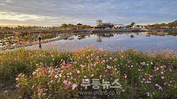 9일 아침 촬영한 영산강 정원 (사진촬영 /사진작가 조경륜}