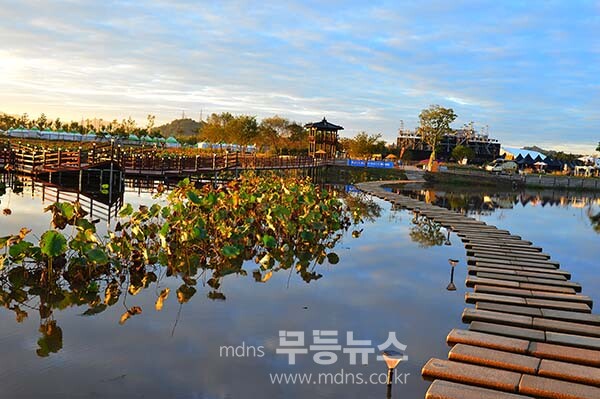 9일 아침 촬영한 영산강 정원 (사진촬영 /사진작가 조경륜}