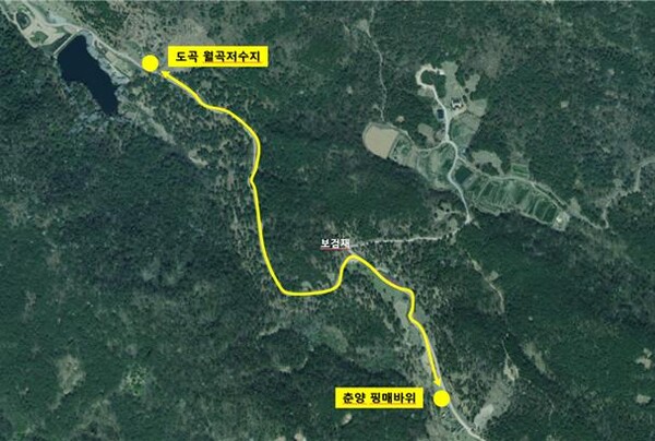 축제장 내 순환버스 운행노선