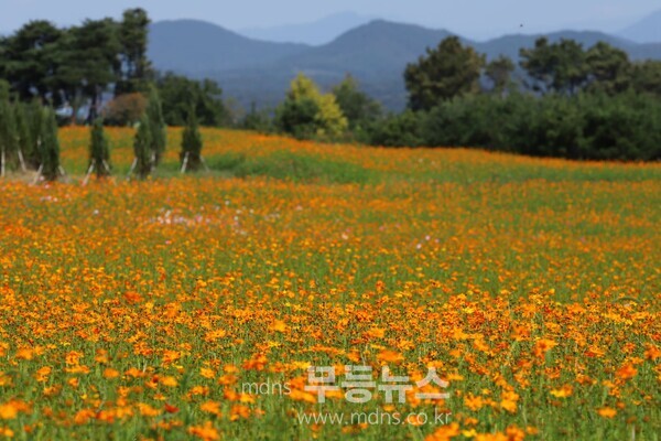 곡성군, 동화정원 가을 꽃 음악회 개최