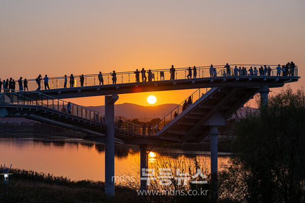 제10회 서창억새축제 16일 노을 개막식/서구청 제공