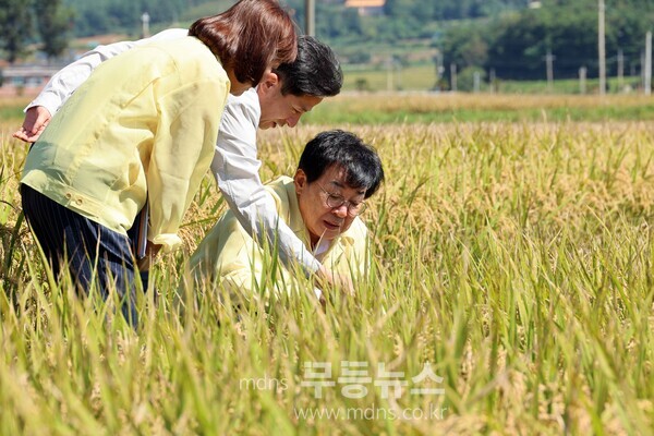 벼 깨씨무늬병 피해상황 점검
