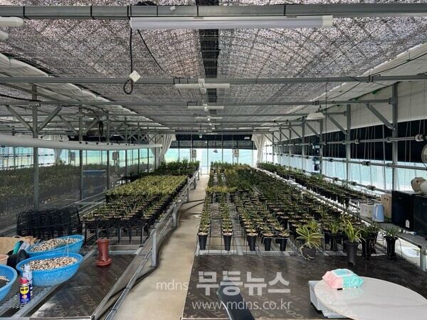 수출용 한국춘란을 재배 중인 온실 내부 모습