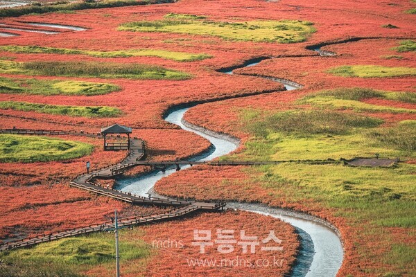 태평염전 산책로