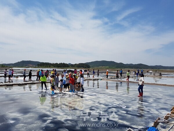 소금밭 체험