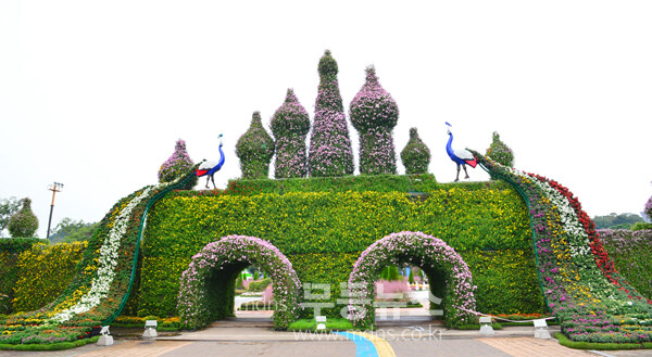 개회 막바지 준비가 한창인 2025 대한민국 국향대전 현장( / 마벙의 성21일 사진촬영 / 조경륜)