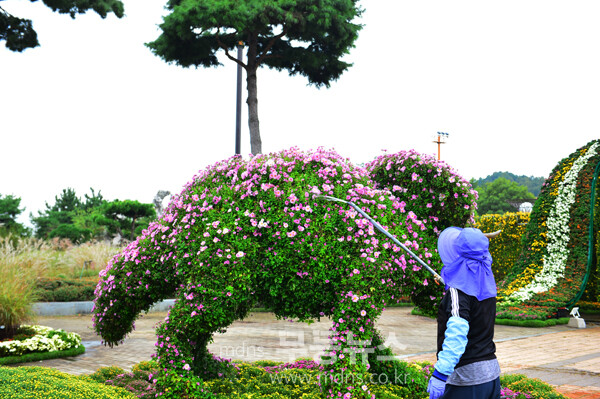 개회 막바지 준비가 한창인 2025 대한민국 국향대전 현장(21일 사진촬영 / 조경륜)