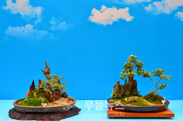 개회 막바지 준비가 한창인 2025 대한민국 국향대전 현장( 21일 사진촬영 / 조경륜)