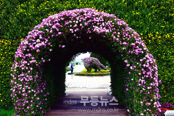 개회 막바지 준비가 한창인 2025 대한민국 국향대전 현장(21일 사진촬영 / 조경륜)