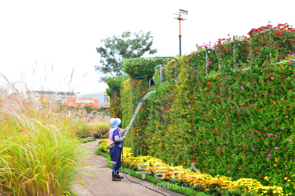 개회 막바지 준비가 한창인 2025 대한민국 국향대전 현장(21일 사진촬영 / 조경륜)