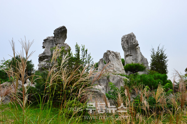 개회 막바지 준비가 한창인 2025 대한민국 국향대전 현장(21일 사진촬영 / 조경륜)