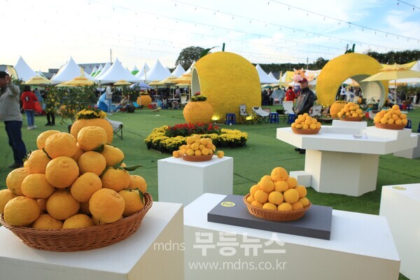 "11월 유자토피아" 제4회 고흥유자축제 _자료사진