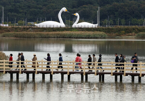 제9회 강진만 춤추는 갈대축제_자료사진