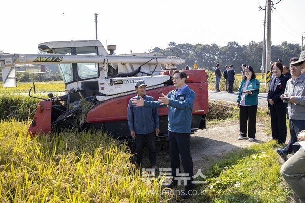 영암군 친환경 기능성쌀 수확 현장