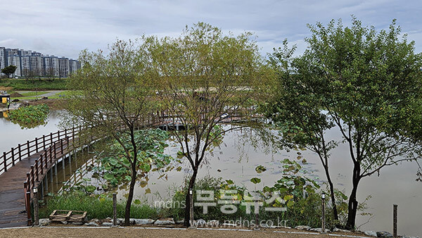 팔각정 위에서 촬영한 연꽃 문양의 조형물, 그러나 나무에 가려져 볼 수가 없는 위치에 있다,(10월 5일 사진촬영 / 조경륜)