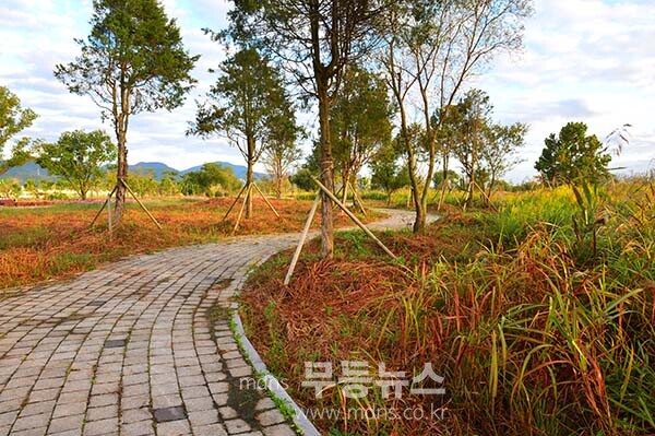 풀베기 작업으로 황량한 구간 (10월 5일 사진촬영 / 조경륜)