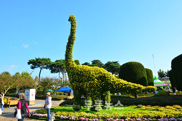 24일 개막한 2025 대한민국 국향대전 (사진촬영 / 조경륜)