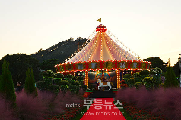 24일 개막한 2025 대한민국 국향대전 / 회전 목마의 야경 (사진촬영 / 조경륜)