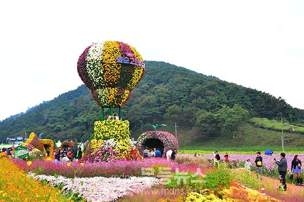 2025 화순 고인돌 가을 축제 (사진촬영 / 조경륜)