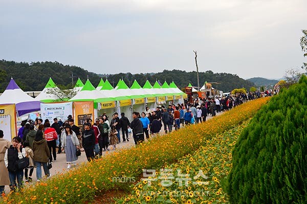 2025 화순 고인돌 가을 축제 (사진촬영 / 조경륜)