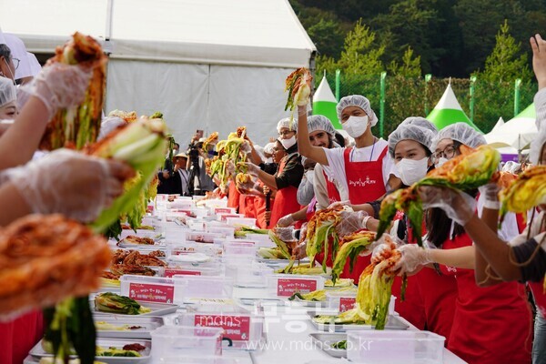 해남미남축제 515김치비빔