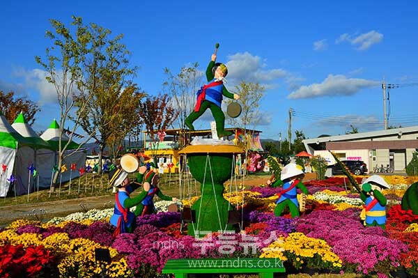 탐진강 갈대숲 과 제10회 강진맍 춤추는 갈대축제 스케치 (27일 오전 10시경 사진촬영 /조경륜)