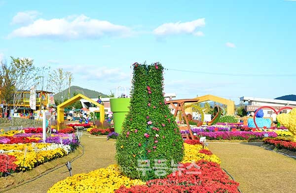 탐진강 갈대숲 과 제10회 강진맍 춤추는 갈대축제 스케치 (27일 오전 10시경 사진촬영 /조경륜)