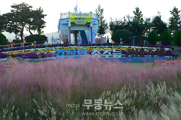 탐진강 갈대숲 과 제10회 강진맍 춤추는 갈대축제 스케치 (27일 오전 10시경 사진촬영 /조경륜)